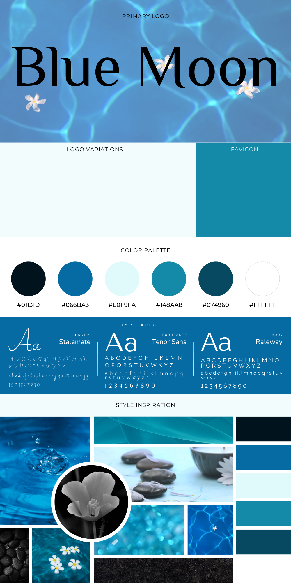 Blue Moon Brand Board